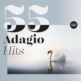 Album cover of 55 Adagio Hits