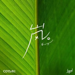 Album cover of 岚 Evergreen
