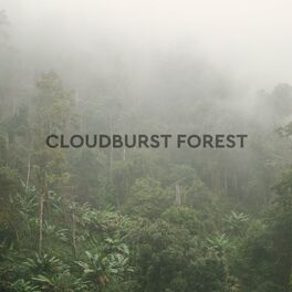 Album cover of Cloudburst Forest Rain