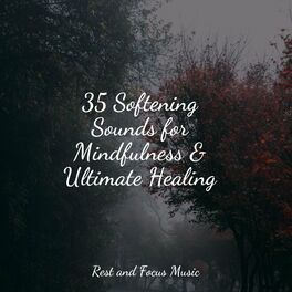 Album cover of 35 Softening Sounds for Mindfulness & Ultimate Healing