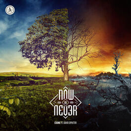 Album cover of Now Or Never
