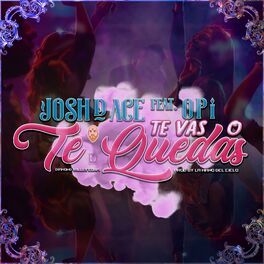 Album cover of Te Vas O Te Quedas (feat. Opi the Hit Machine)