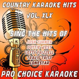 Album cover of Country Karaoke Hits, Vol. 45 (The Greatest Country Karaoke Hits)