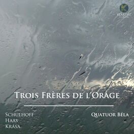 Album cover of Trois frères de l'orage