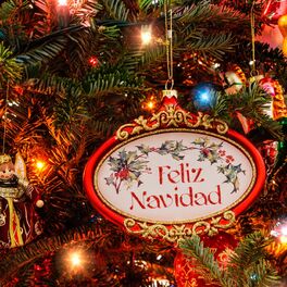 Album cover of Feliz Navidad