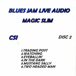 Album cover of Blues Jam Live Audio: Magic Slim