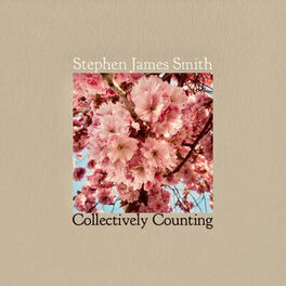 Album cover of Collectively Counting (feat. Gareth Quinn Redmond & Villagers)
