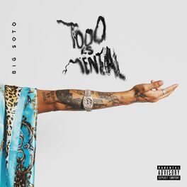 Album cover of Todo Es Mental