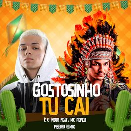 Album cover of Gostosinho Tu Cai (Piseiro Remix)
