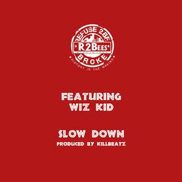 Album cover of Slow Down (feat. Wiz Kid)