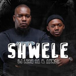 Album cover of Shwele