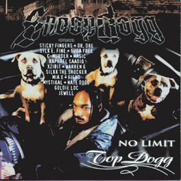 Album cover of No Limit Top Dogg