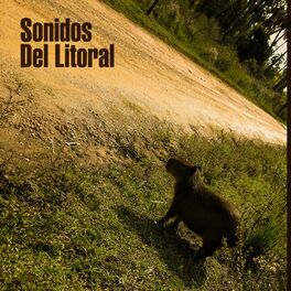 Album cover of Sonidos del Litoral