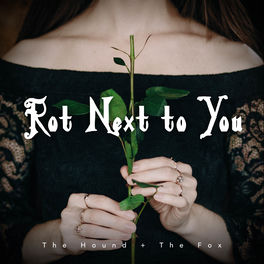 The Hound The Fox Rot Next To You Lyrics And Songs Deezer