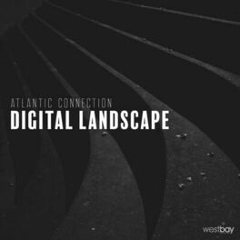 Album cover of Digital Landscape