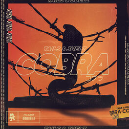 Album cover of Cobra