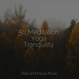 Album cover of 50 Meditation Yoga Tranquility