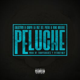 Album cover of Peluche