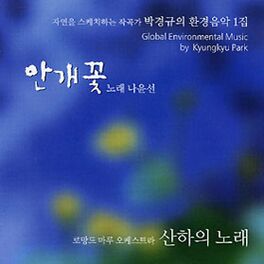 Album cover of (한국인의 두뇌힐링 음악) 안개꽃 (박경규의 환경음악 1집)