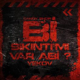 Album cover of Bi Sıkıntımı Var Abi