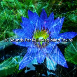 Album cover of 33 Sounds For Relieving Mind Toxins
