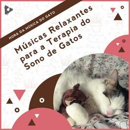 Album cover of Músicas Relaxantes para a Terapia do Sono de Gatos