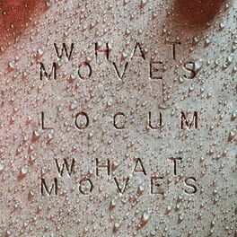 Album cover of What Moves (Locum Edit)