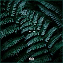 Album cover of Loopy