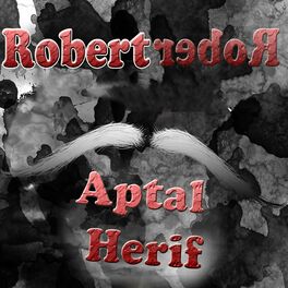 Album cover of Aptal Herif