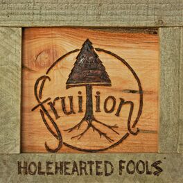 Album cover of Holehearted Fools