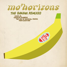 Album cover of The Banana Remixes