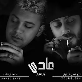 Album cover of Aady