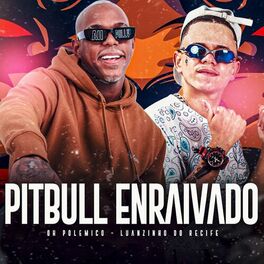 Album cover of Pitbull Enraivado