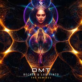 Album cover of DMT - The Remixes