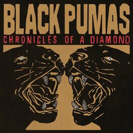 Album cover of Chronicles of a Diamond