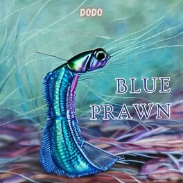 Album cover of BLUE PRAWN
