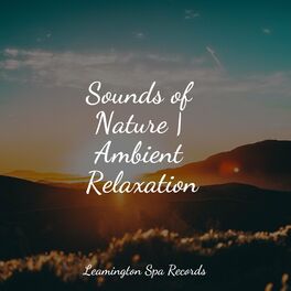 Album cover of Sounds of Nature | Ambient Relaxation