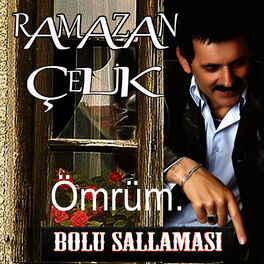 Album cover of Bolu Sallaması