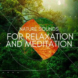 Album cover of Nature Sounds for Relaxation and Meditation (Experience the Soothing Ambience of the Great Outdoors)