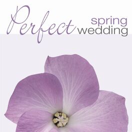 Album cover of PERFECT SPRING WEDDING