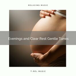 Album cover of ! ! Evenings and Clear Rest Gentle Tunes