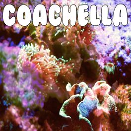 Album cover of Coachella (Woodstock In My Mind) (Tribute to Lana Del Rey)