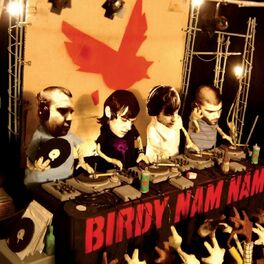 Album cover of Birdy Nam Nam