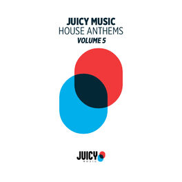 Album cover of House Anthems, Vol. 5