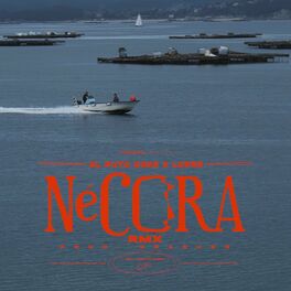 Album cover of Nécora (Remix)