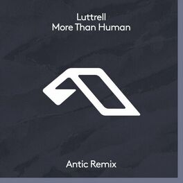 Album cover of More Than Human (Antic Remix)