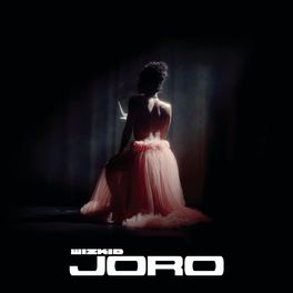 Album picture of Joro
