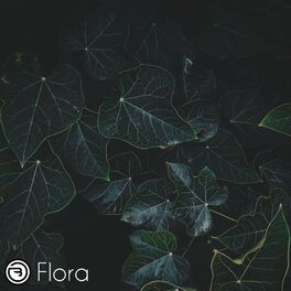 Album cover of Flora