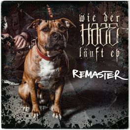 Album cover of Wie der Hase läuft EP (Remastered)