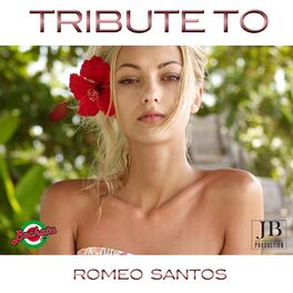 Album cover of 29 Best Hits: Tribute to Romeo Santos